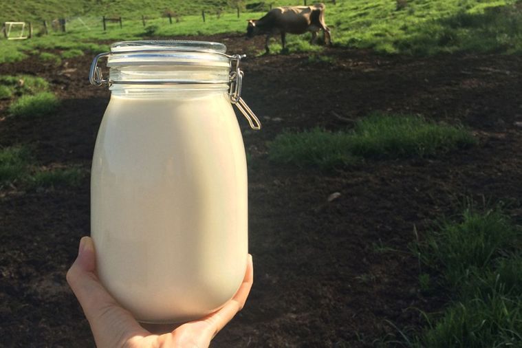 The Nourishing Elixir: Why Should You Buy Raw Milk in Houston?