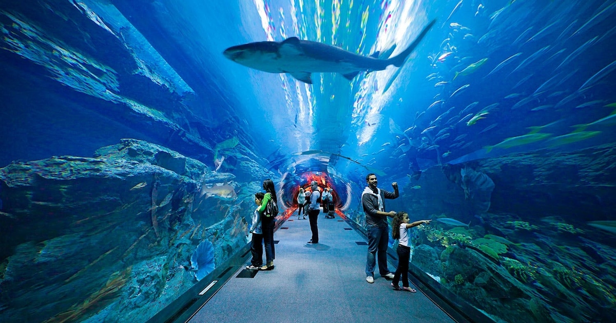 Top 11 Amazing Dubai Mall Attractions