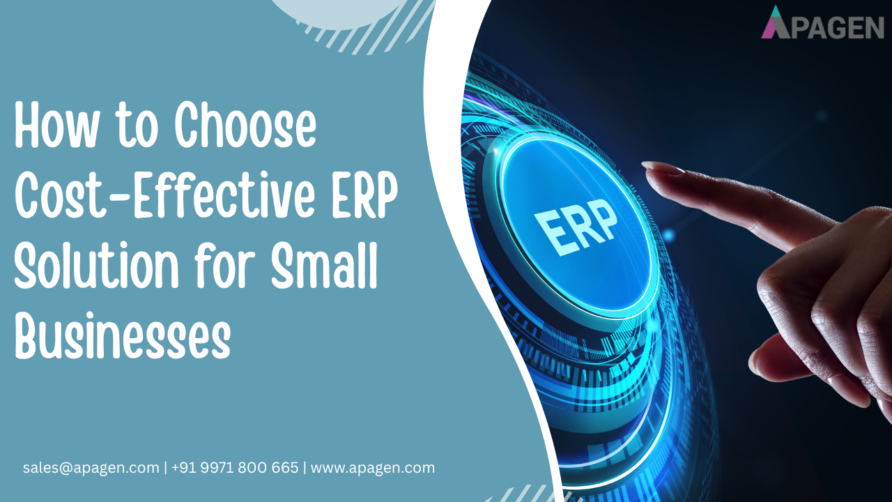 How to Choose a Cost-Effective ERP Solution for Small Businesses