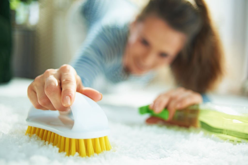 Carpet Cleaning Tips for Healthier Homes 