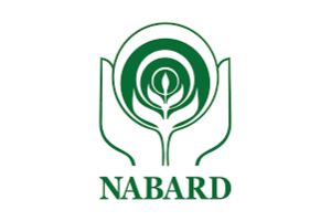 NABARD GRADE A Test 2022: New Information, Qualifications, Pay, and Positions