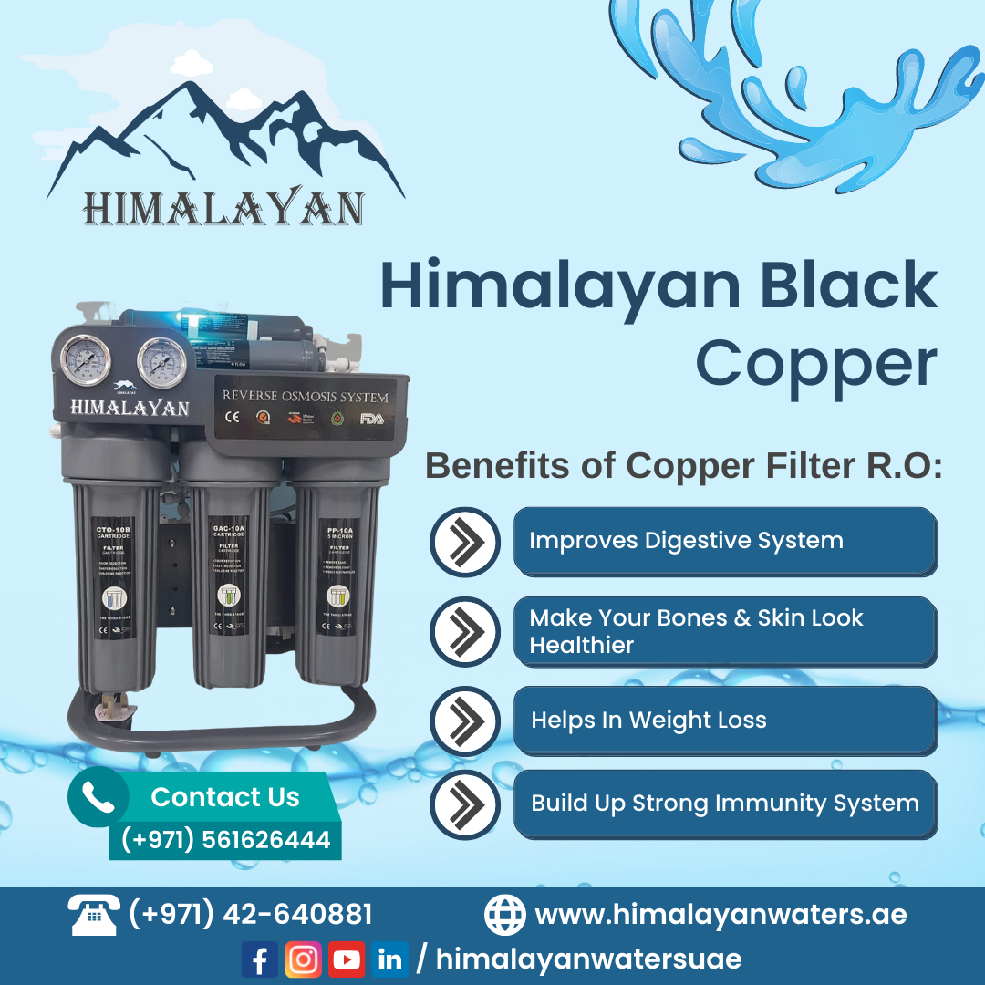 Comprehensive Guide to buy Copper Filter in Dubai 
