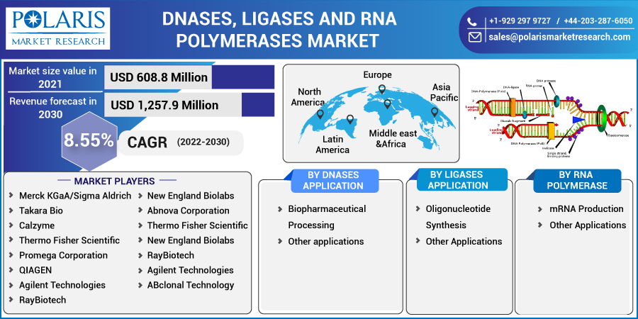 DNases, Ligases, and RNA Polymerases Market Advantages, Challenges, and Future Projection to 2032
