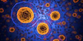 Dendritic Cell Cancer Vaccine Market Envisions Exponential Growth in the Next Decade