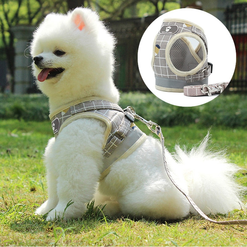 Online Dog Accessories Store with Dog Clothes- Your pets are worth it