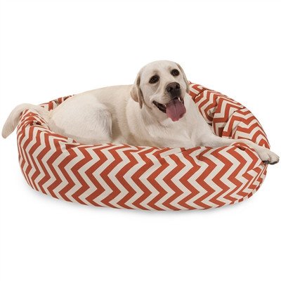 Small Dog Bed provides One Roof, Many Things