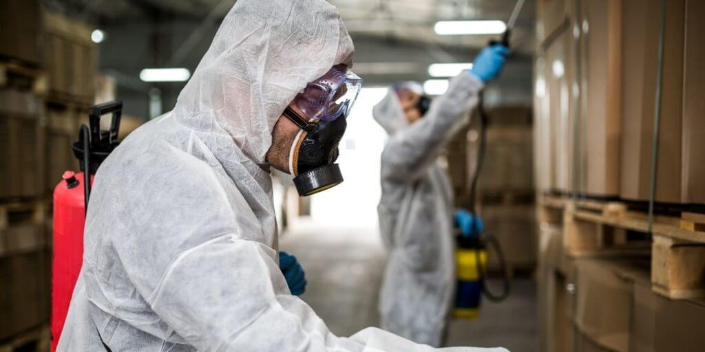 Pest Control Alderley