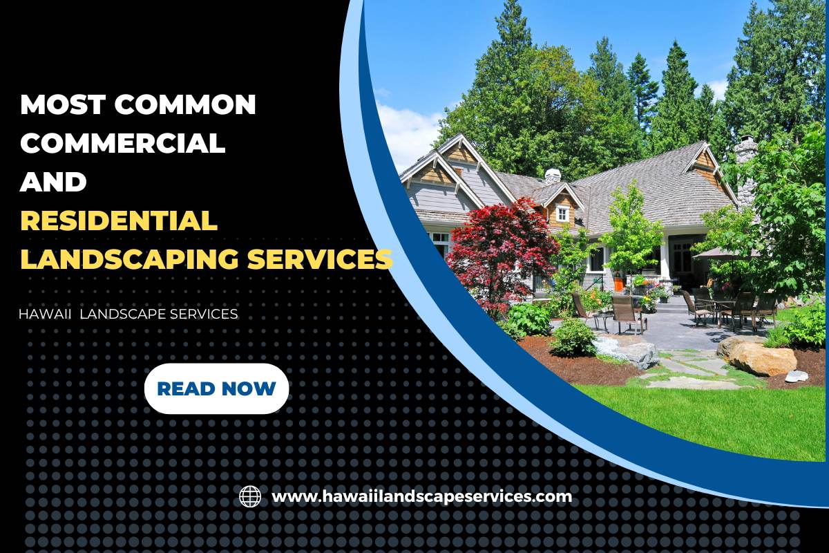Most Common Commercial and Residential Landscaping Services