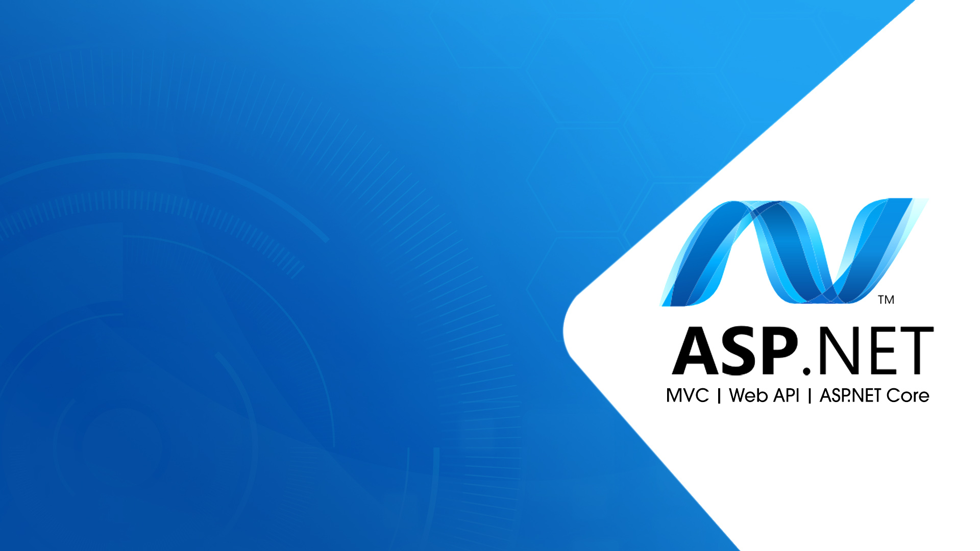ASP.NET MVC Development Company India
