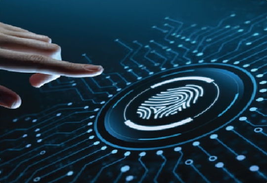 The Growth of Digital Lending Platform in India