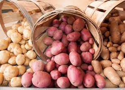 Tips To Choose The Parer Cassava For Your Business
