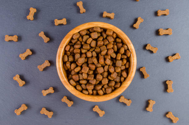 Best Grain-Free Dog Food – Ultimate Buyer’s Guide