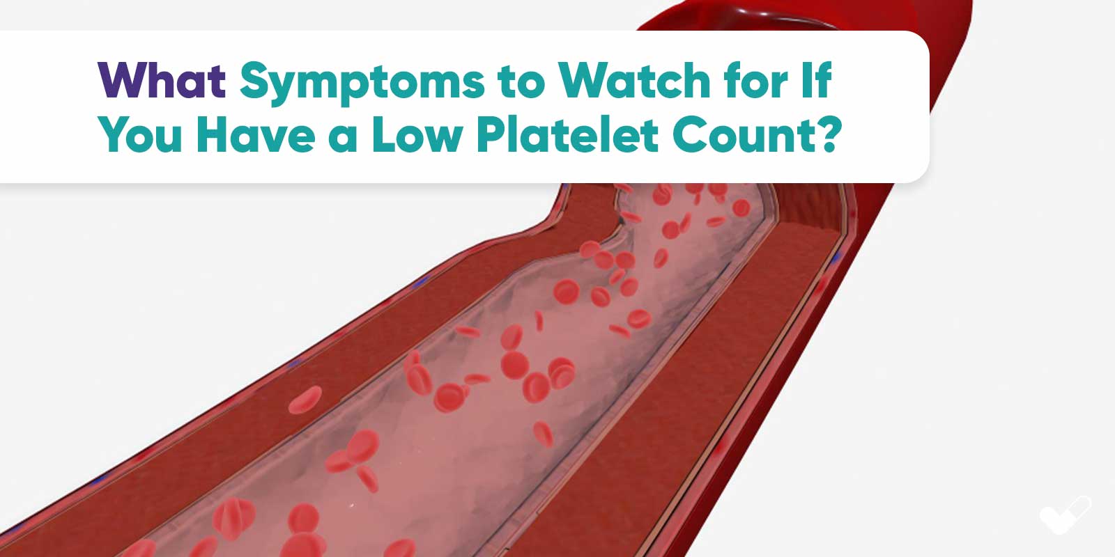 What Symptoms to Watch for If You Have a Low Platelet Count