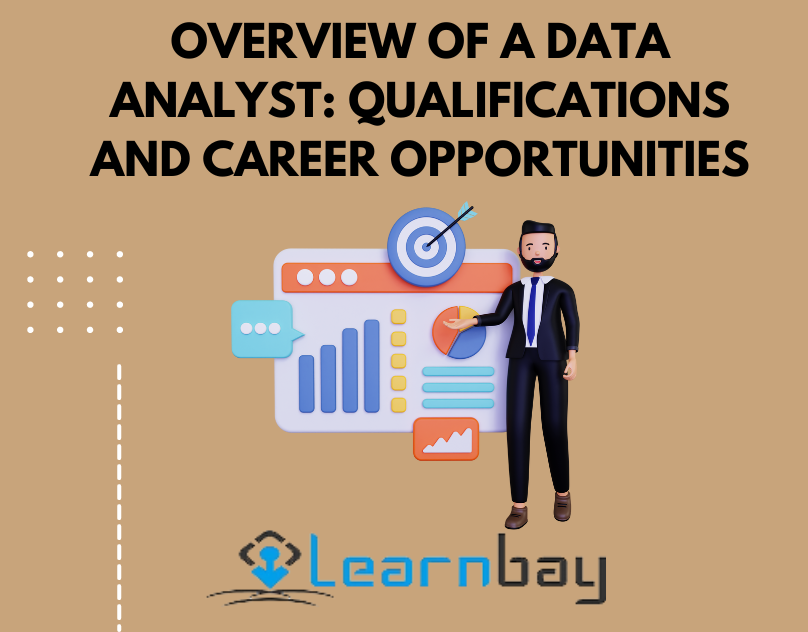 Overview of a Data Analyst: Qualifications and Career Opportunities.
