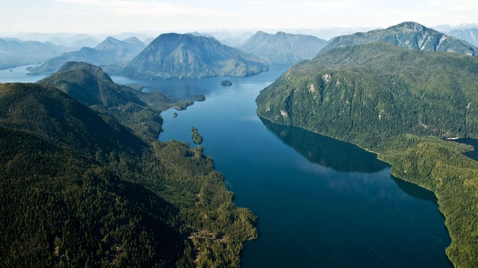 The Great Bear Sea is a great new ocean region transferring mindset for conservation