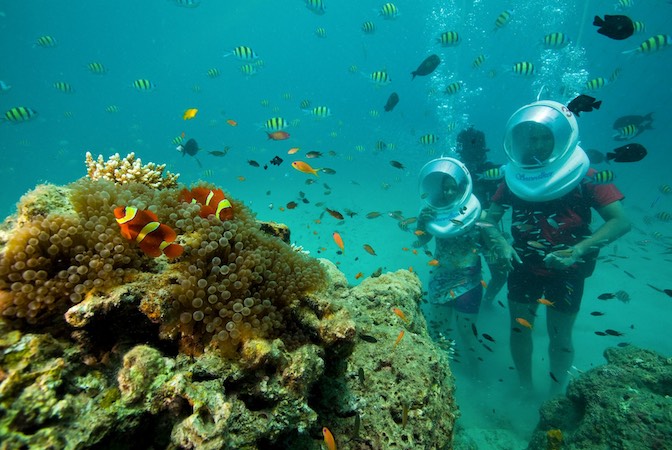 Discover the Thrill of Scuba Diving in Andaman