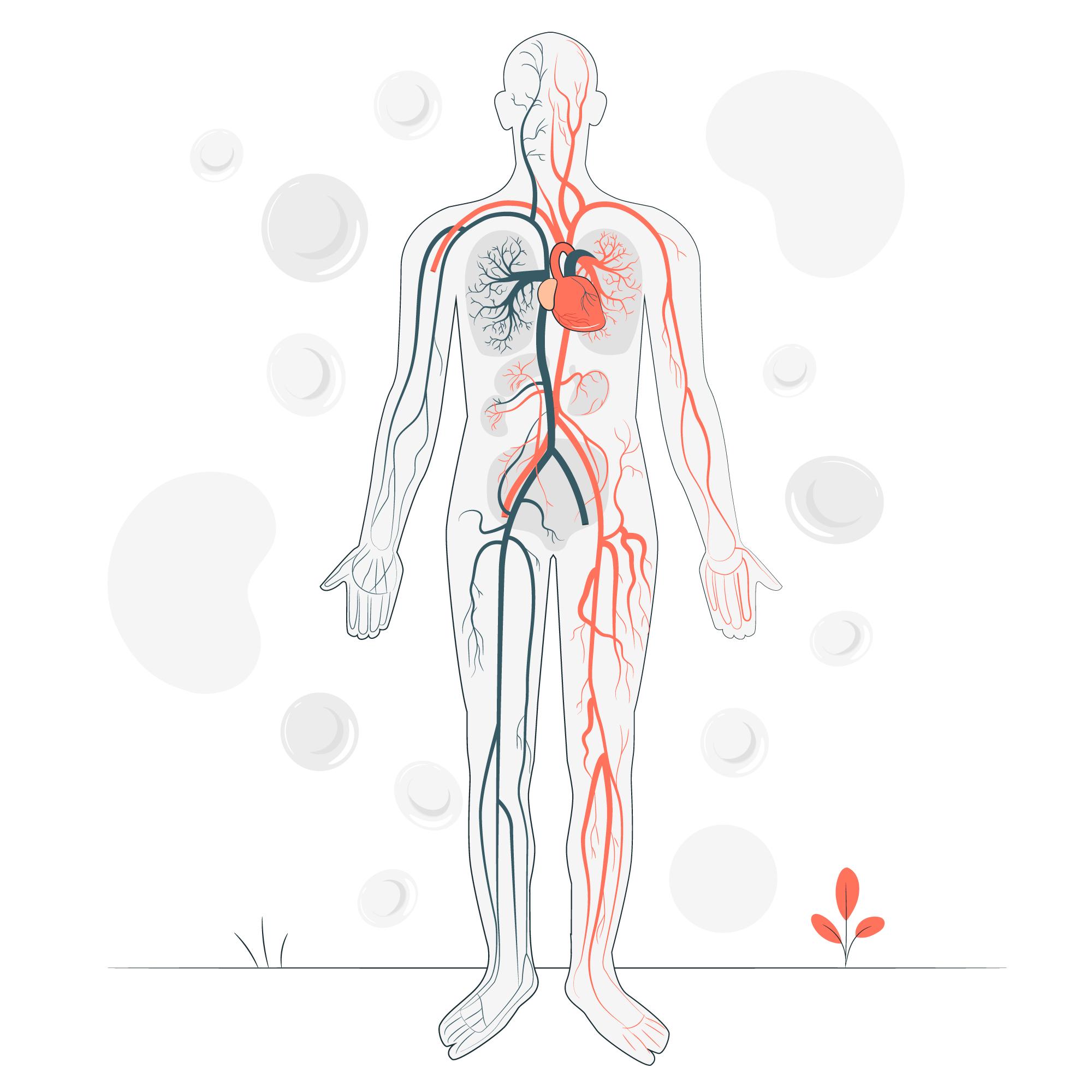 Vascular Surgeon Email List | FountMedia