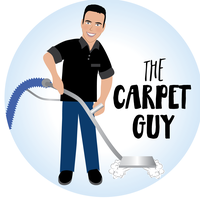 Benefits Of Choosing Professional Carpet Cleaning Services