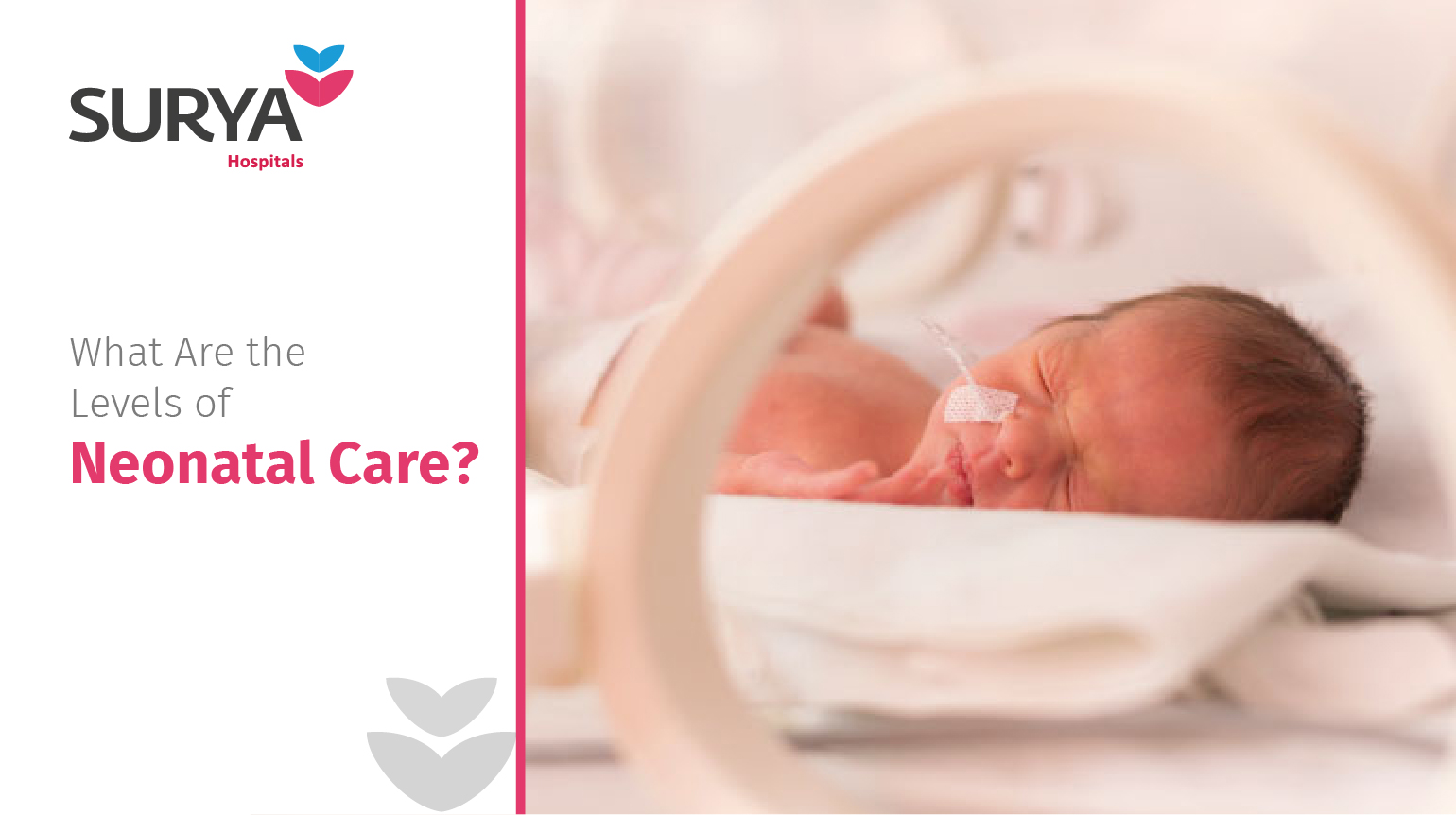 Nicu Hospital in Jaipur  | NICU Care - Surya Hospital Jaipur