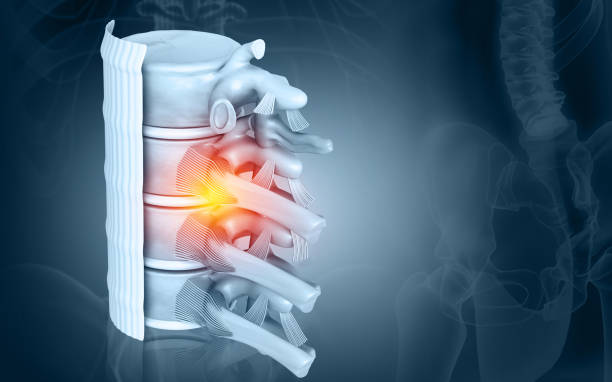 What Is a Muscular Specialist?