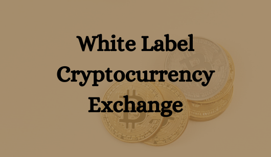 Unveiling the Power of White Label Crypto Exchanges: A Comprehensive Guide