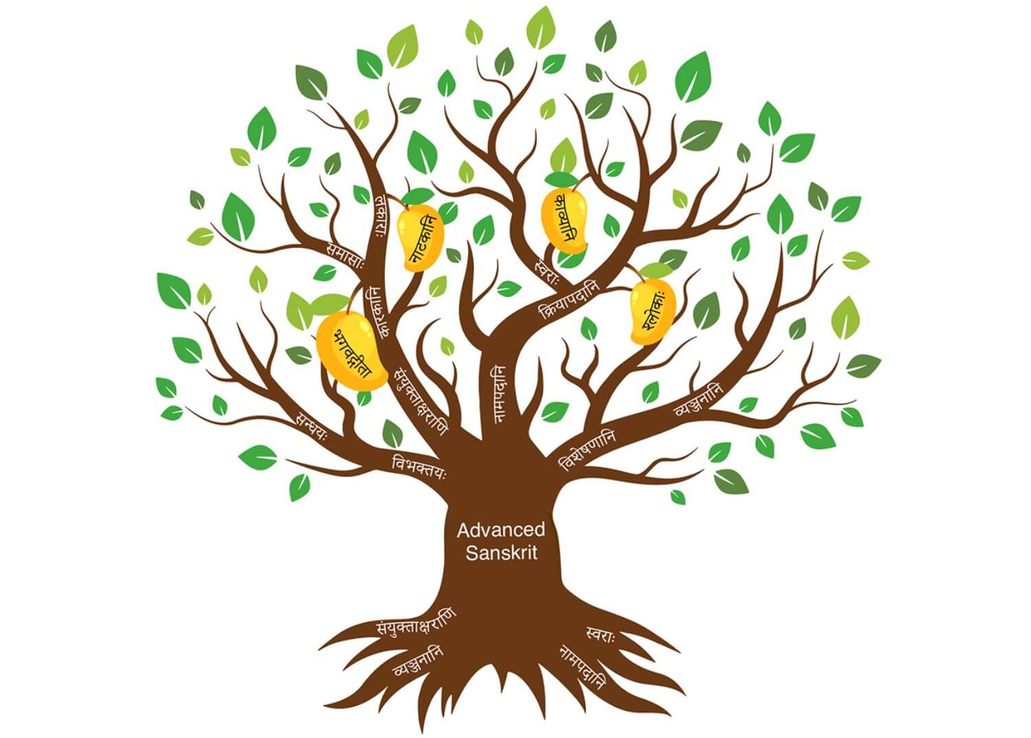 Practical Application of Advanced Sanskrit Proficiency: Advanced Phase | HUA