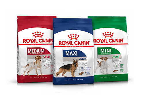 Dry vs Wet Dog Food: Which is Better for Your Pet?