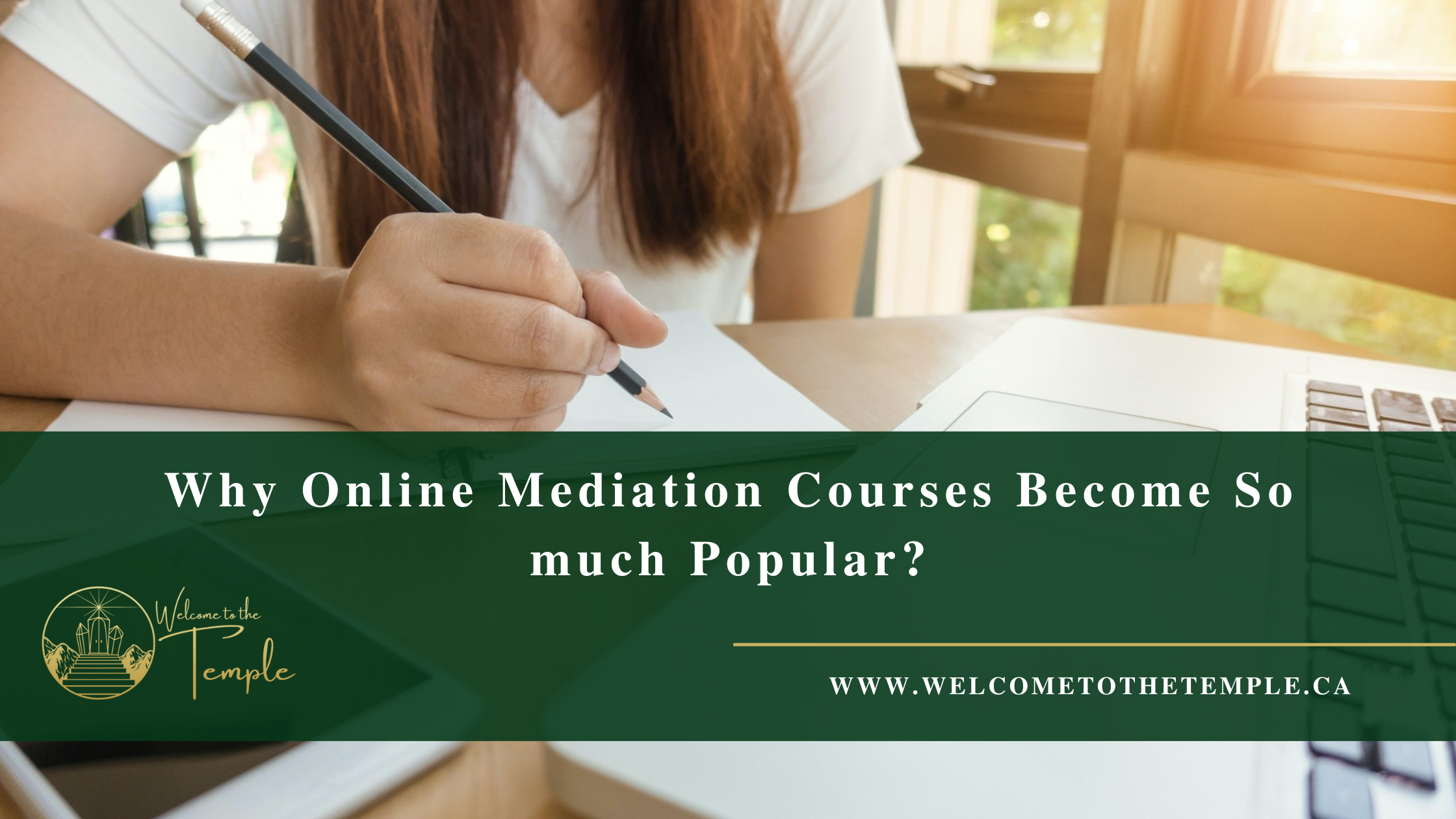 Why Online Mediation Courses Become So much Popular?
