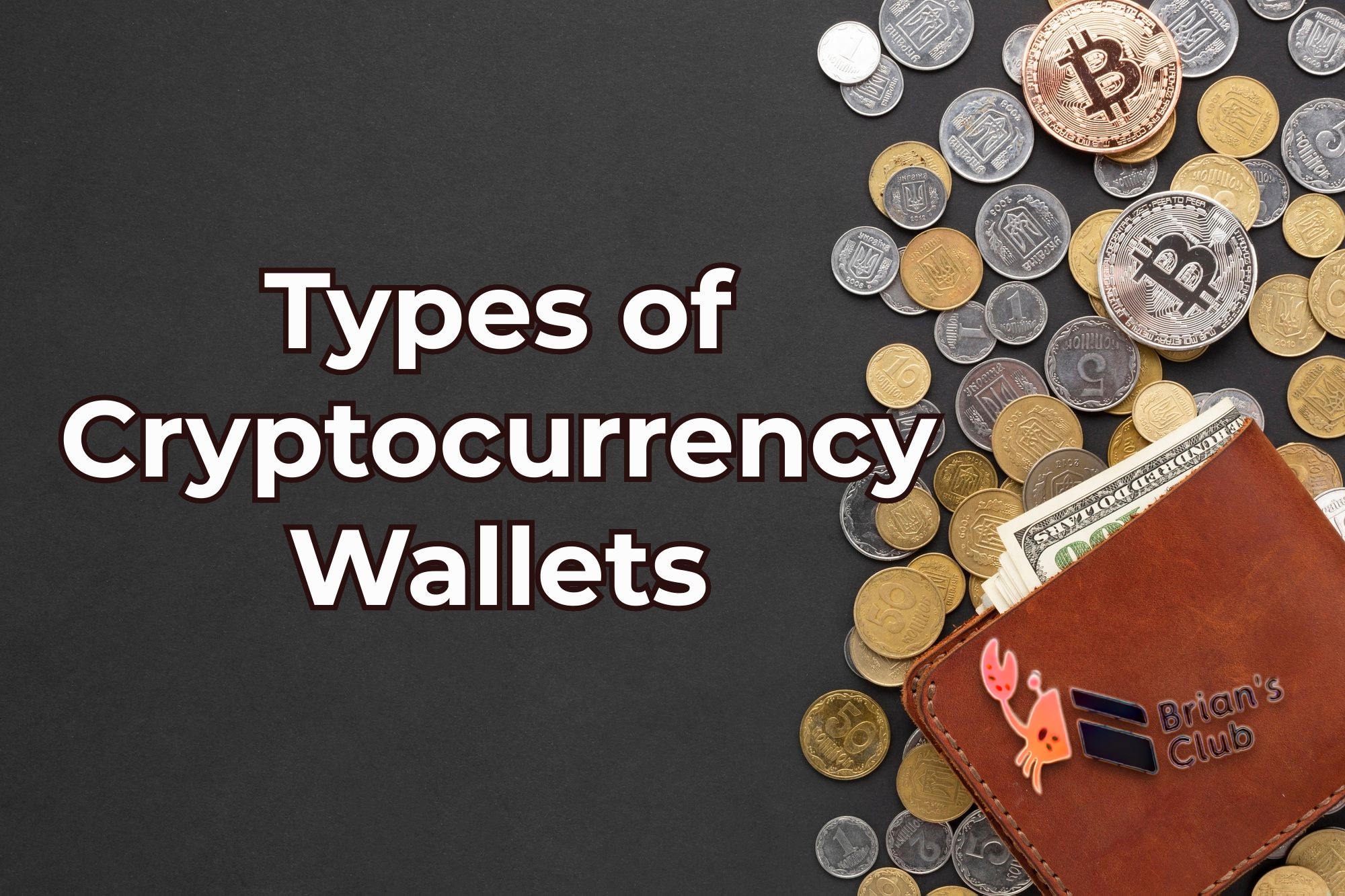 What Are the Types of Cryptocurrency Wallets?