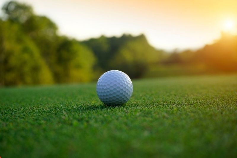 Does Sun Affect Artificial Grass?