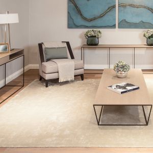 Rugs- To create a cozier appearance around you