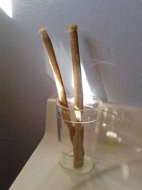 Benefits of Miswak | How to Use and Where to Buy Miswak in Pakistan ?
