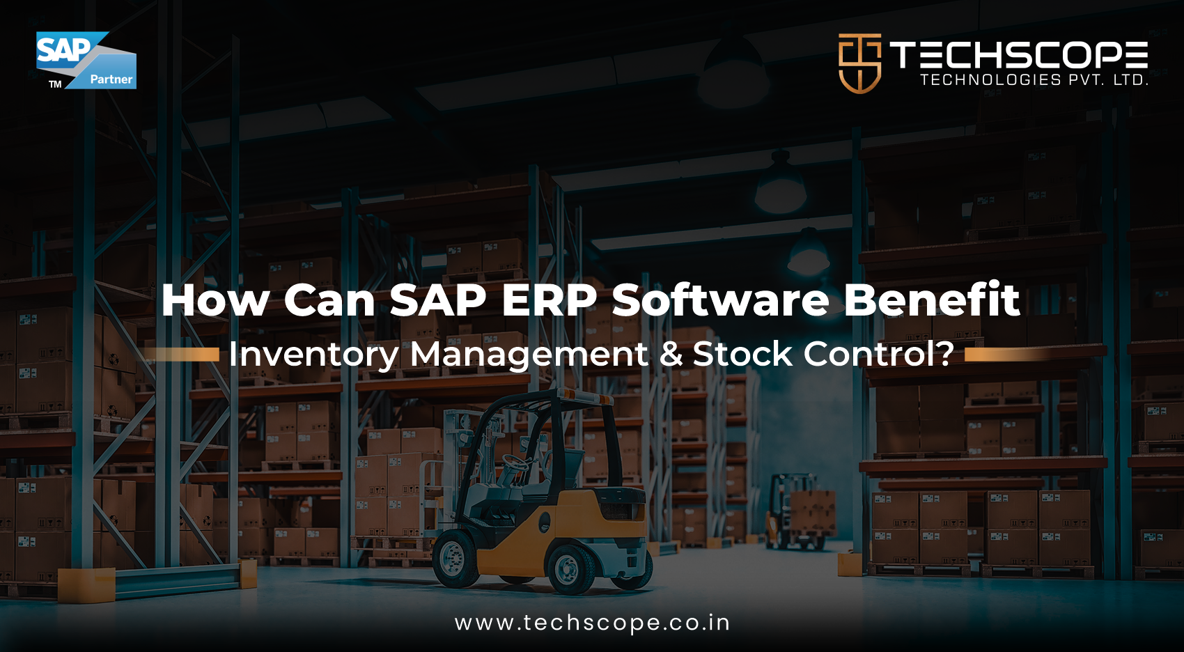 How can SAP ERP software benefit Inventory Management & Stock Control?