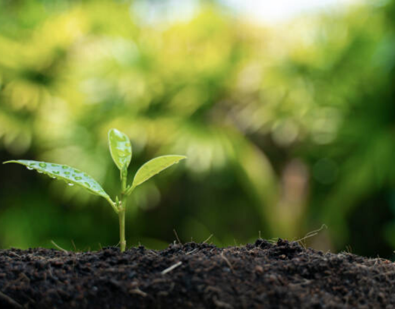 Insights On Agriculture Microbial Market Reach and Analysis