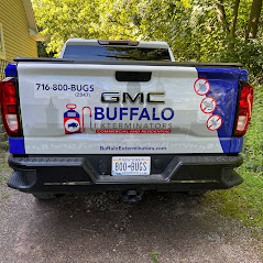 Peace of Mind: How a Buffalo Pest Control Service Can Help You Sleep Better
