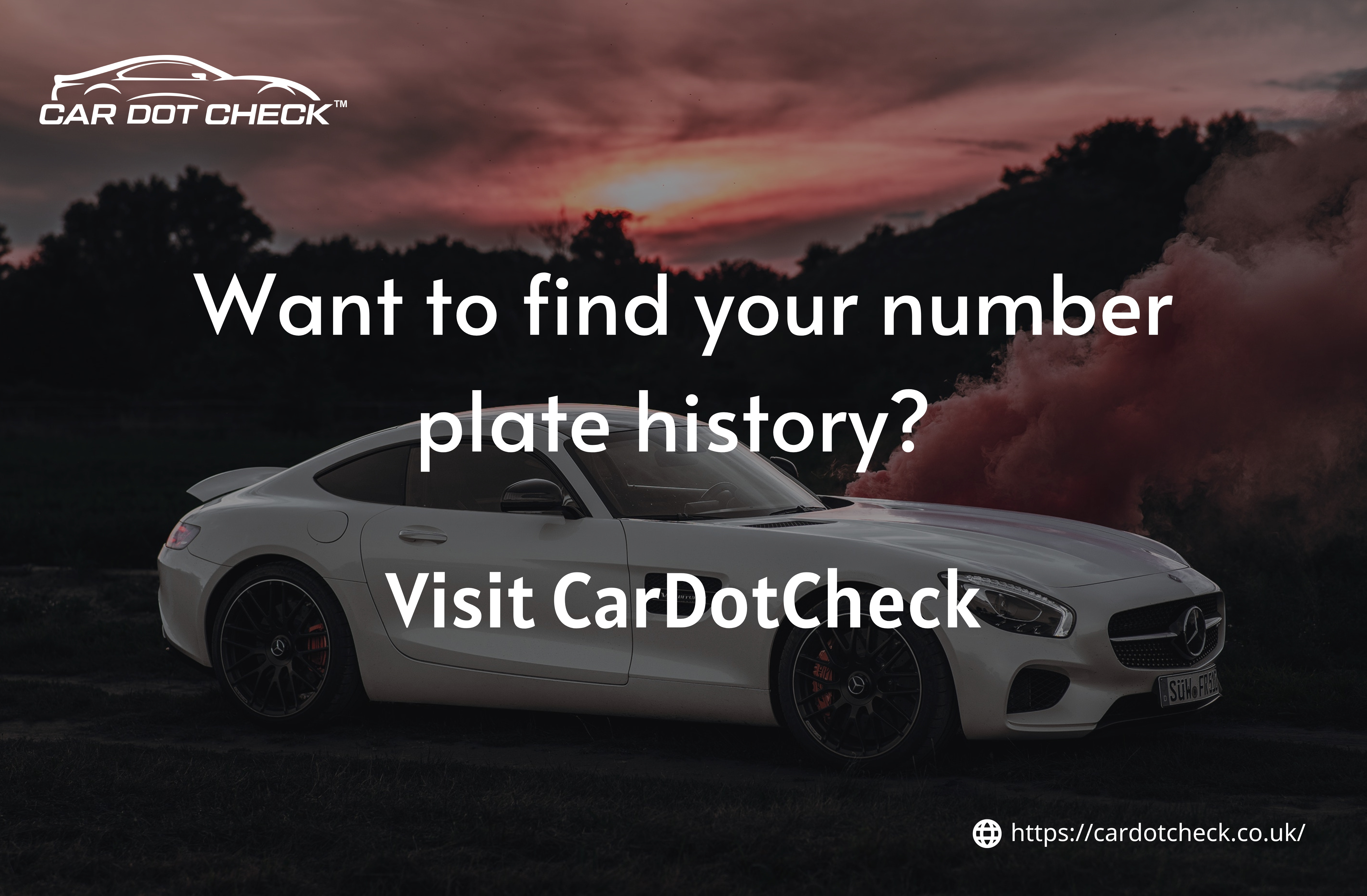 dvla number plate check