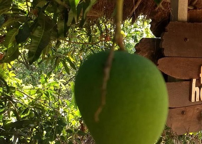 Best Reasons to visit ‘Farm Of Happiness