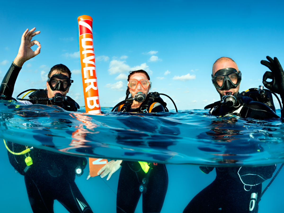 Essential Dive Courses that You Should Take to  Become a Divemaster