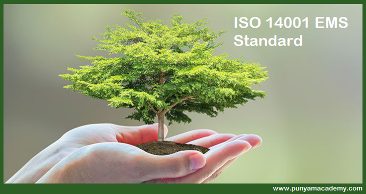 5 Key Elements that Help to Make a Successful ISO 14001 EMS System