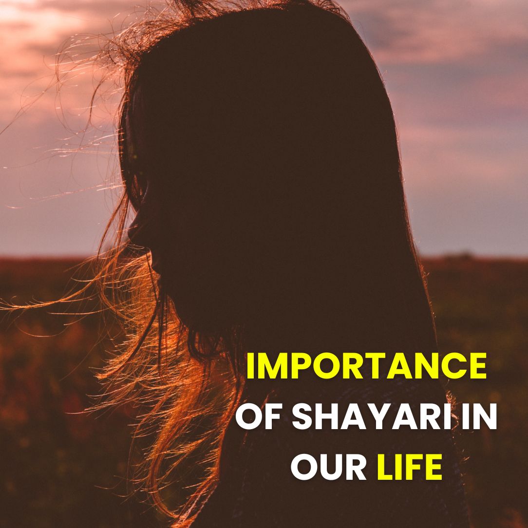 Importance of Shayari in our life 