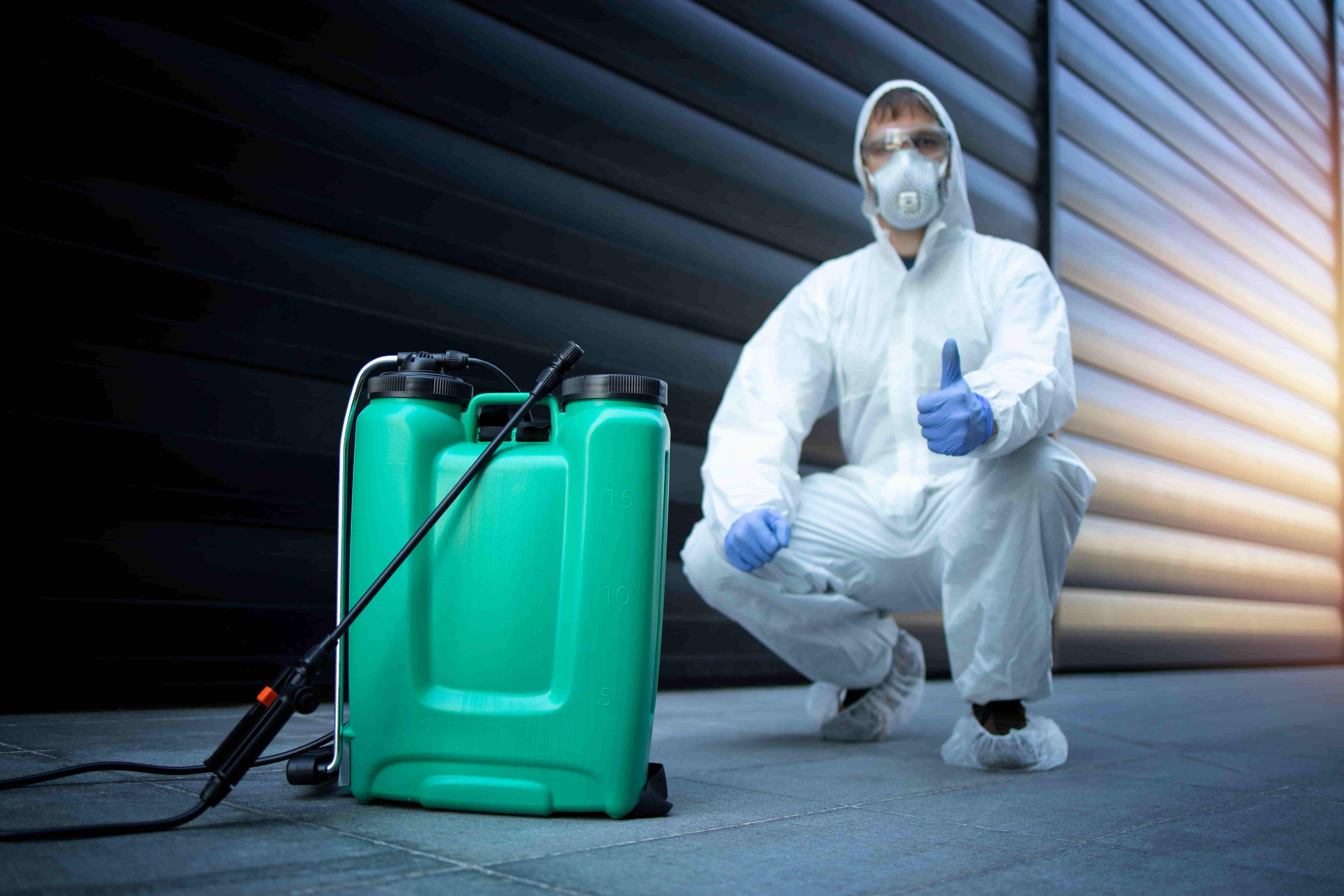 How to Find the Best Dead Animal Removal Services in Melbourne