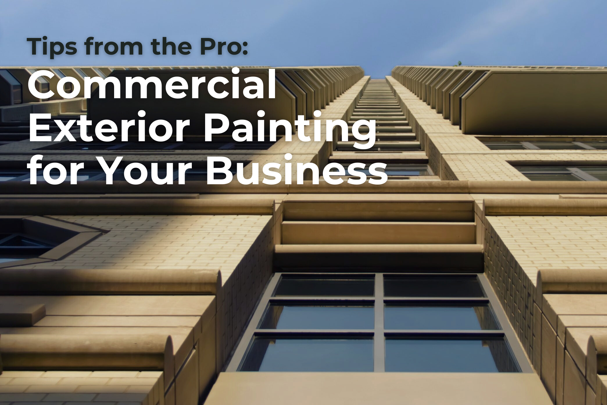What Sets the Best Painting Services Apart? An Inside Look