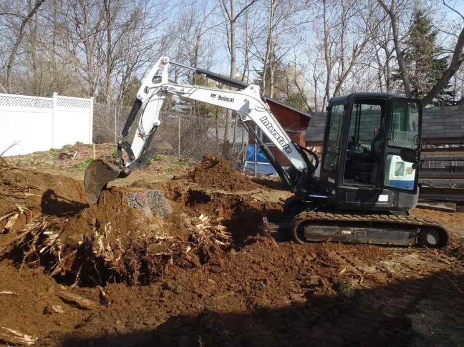 Things to Know About Tree Removal in Georgia