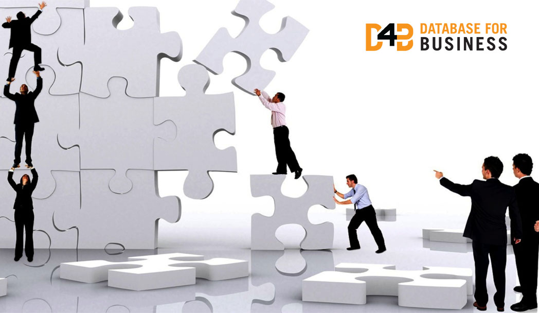 How can real estate dealers use their customer database?