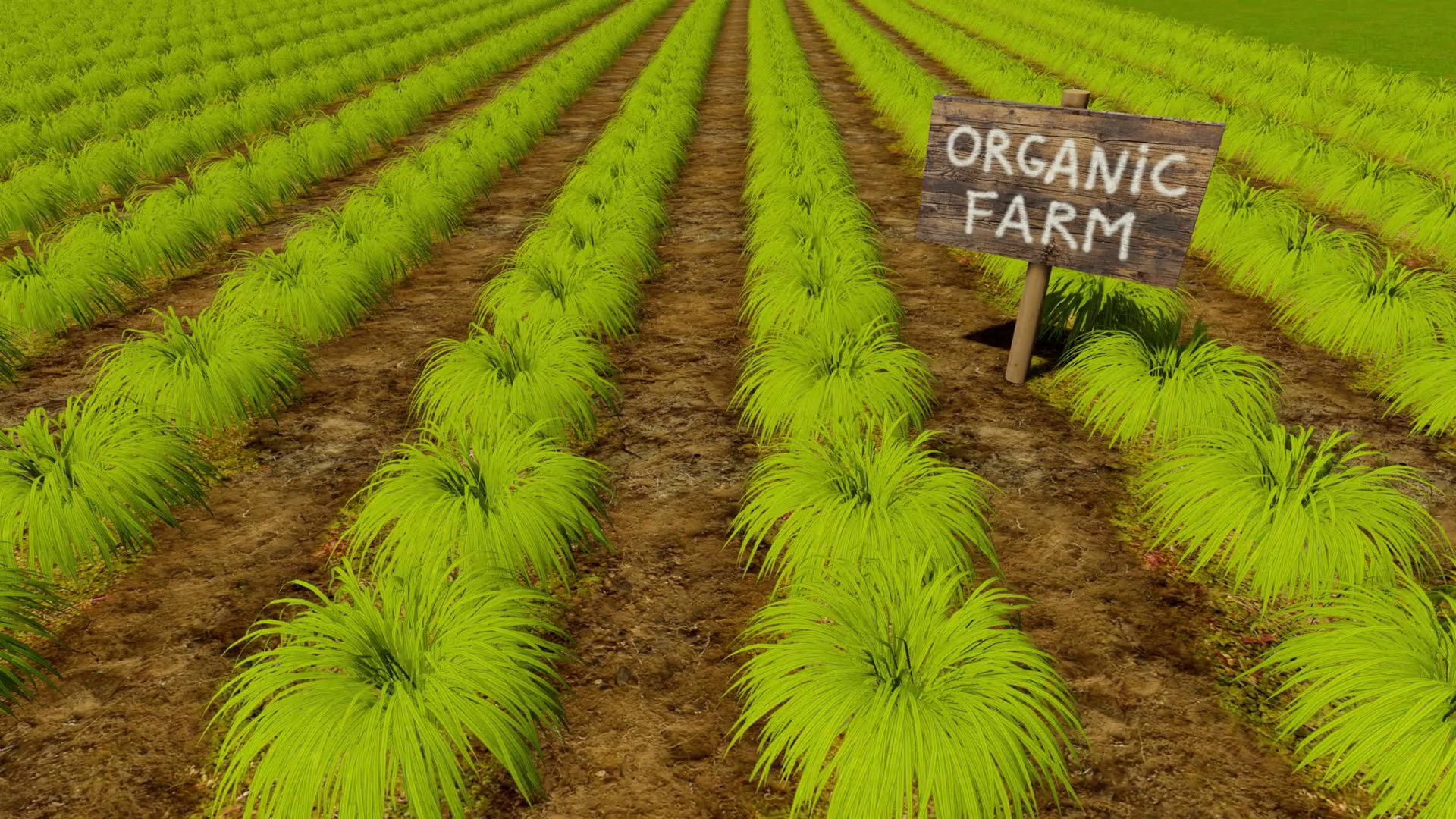 Why Organic Farming Products Are Good for Health?