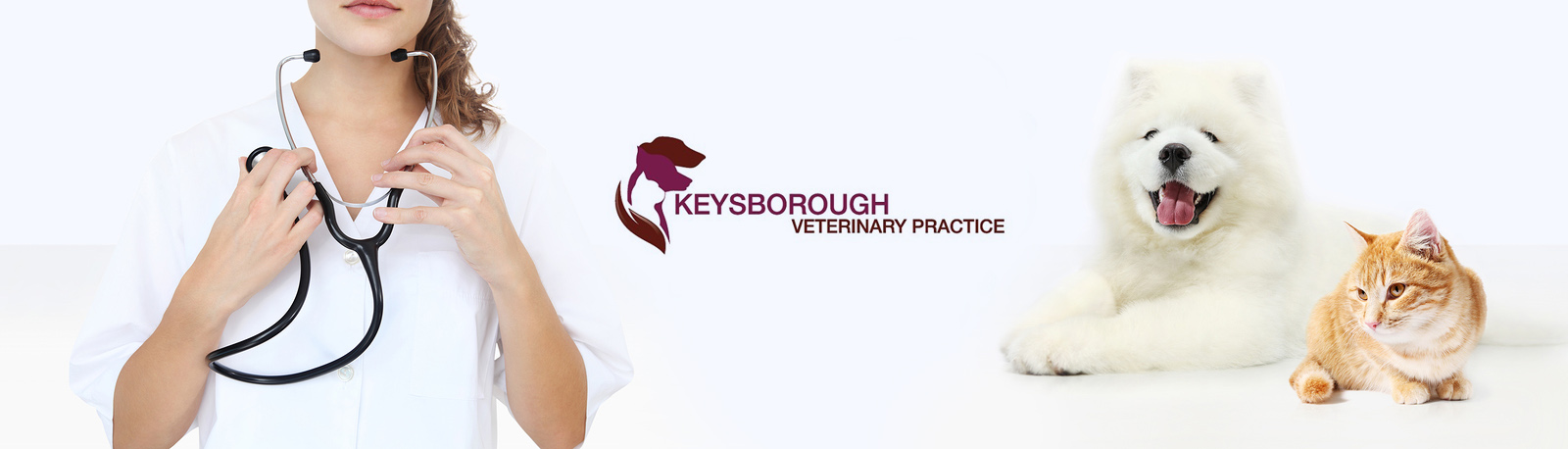 Keysborough Veterinary Practice | Veterinary Clinic | Vet Care