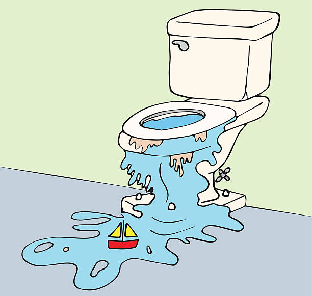 What to Do When Your Toilet is Overflowing