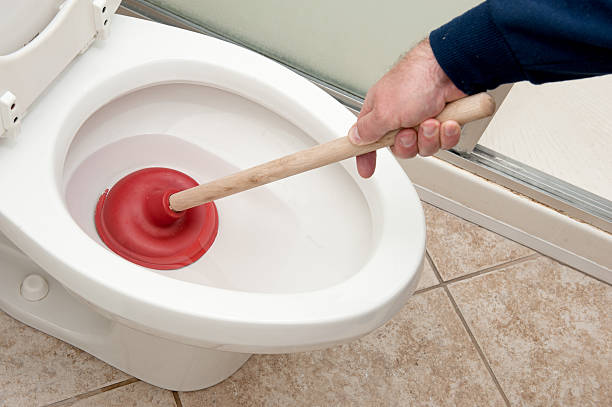Must Know Tips for Unclogging a Toilet