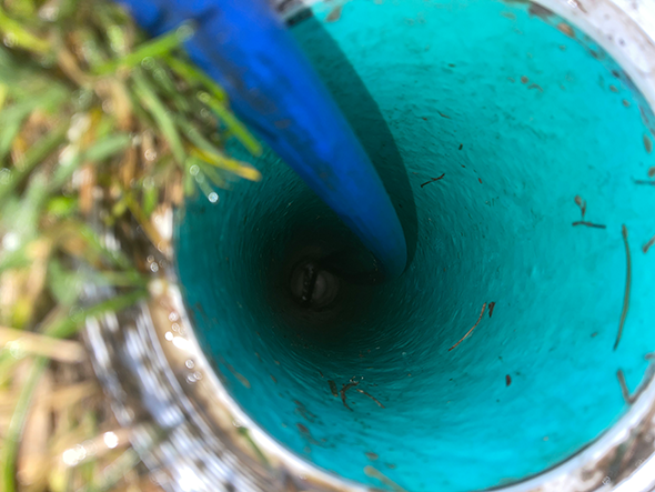 Top Sewer Line Cleaning Tips Every Homeowner Should Follow