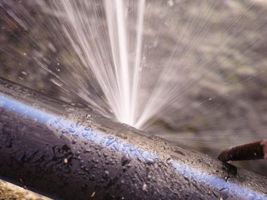 The Benefits of Hiring a Professional Plumbing Service for Emergency Situations 